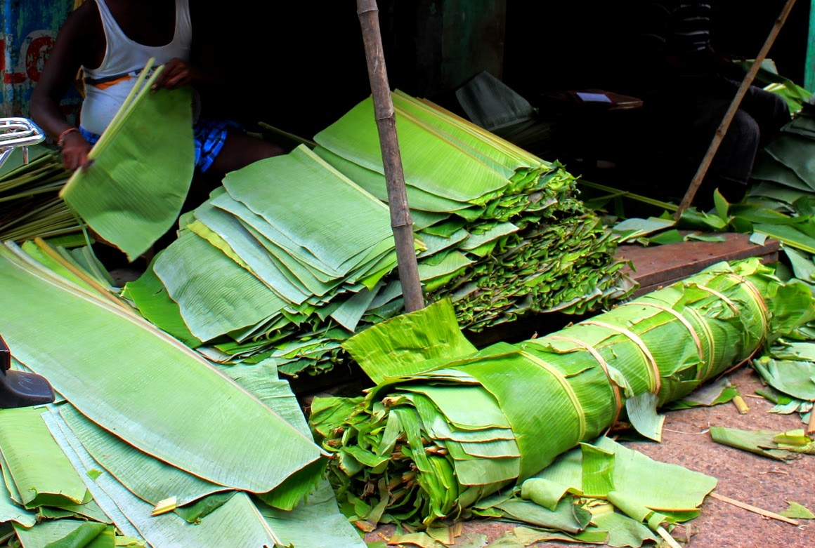 Cut banana leaves stacked and tied into bundles for dispatch